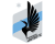MINNESOTA UNITED